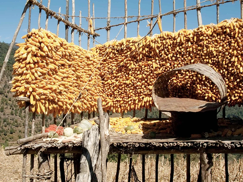 Assam Arunachal Tour Image